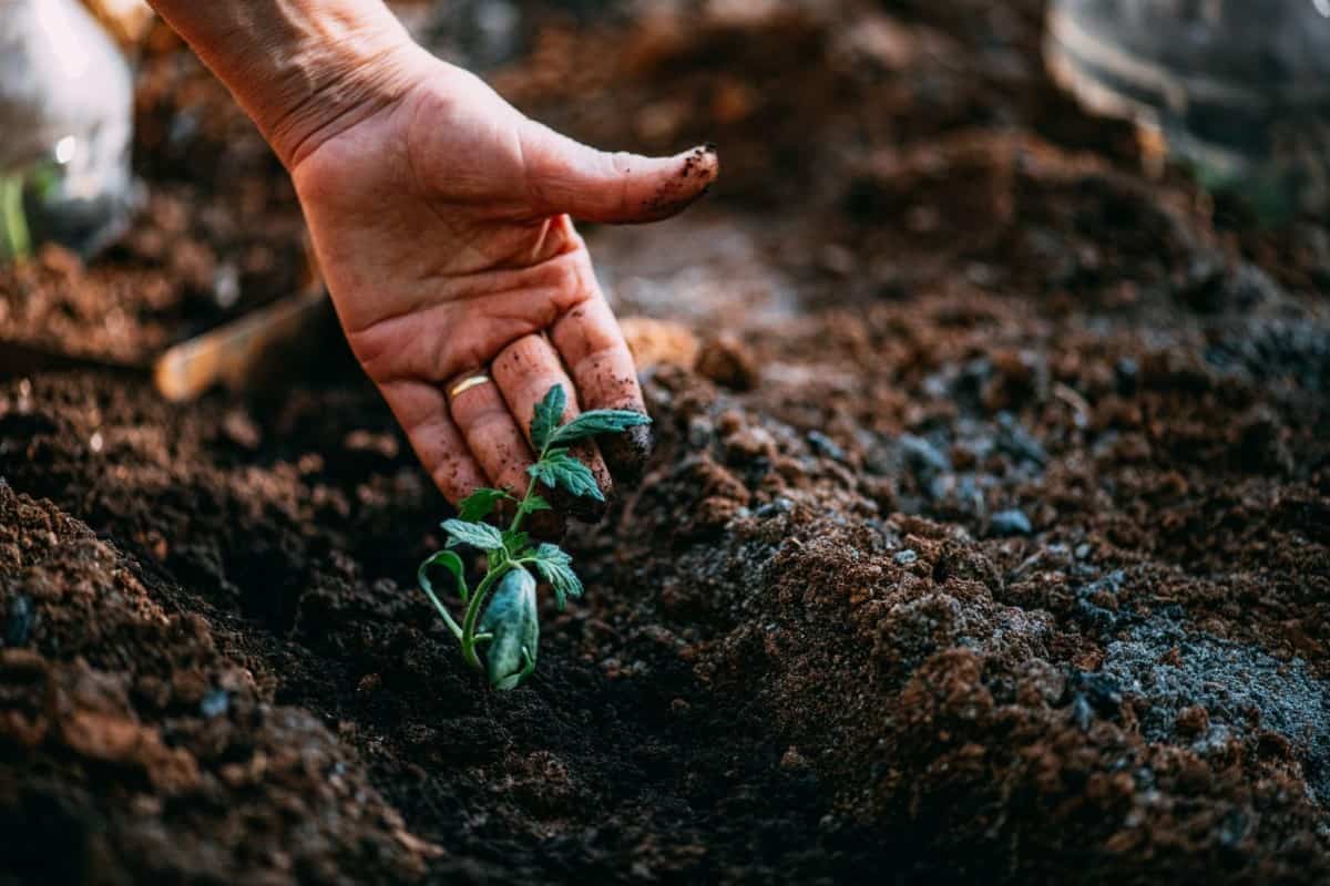 La rentabilidad de la agricultura en Chile