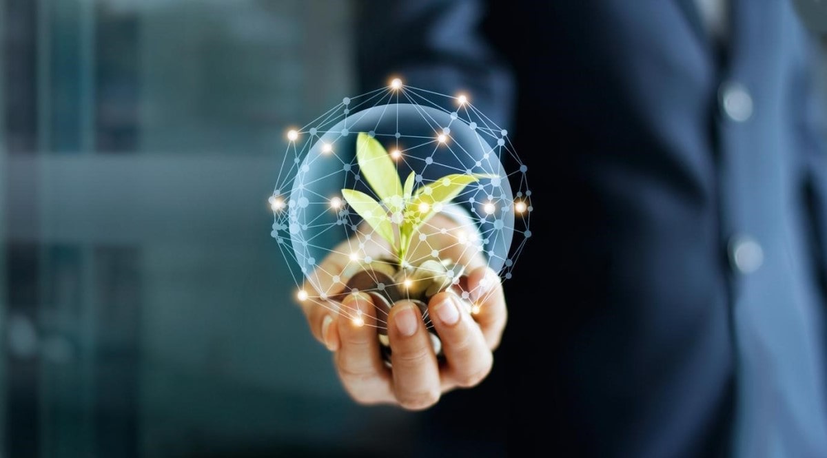 Un hombre sostiene una esfera con plantas y monedas. Conoce la importancia del capital natural.