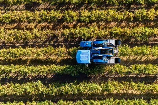 ¿Por qué invertir en la agricultura en Chile?