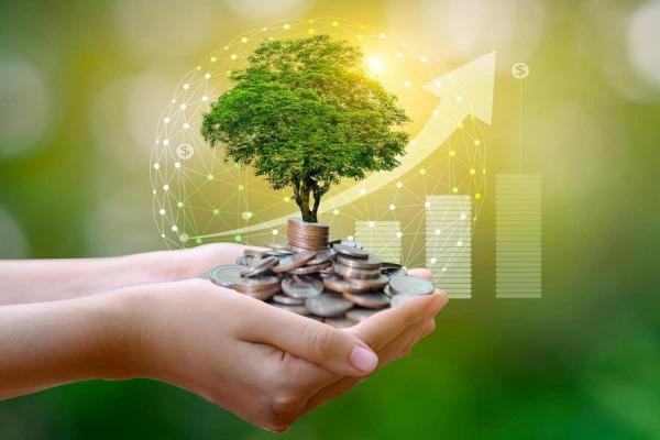 Monedas debajo de un árbol y gráficos de tendencia. Descubre qué es el capital natural.