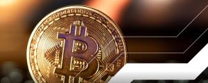 Bitcoin trở lại tâm điểm khi đêm bầu cử đến gần