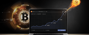Bitcoin & co., what are they ultimately for? Invest in Bitcoin halving expectation