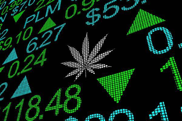 Are cannabis stocks going up in smoke? Don’t get paranoid