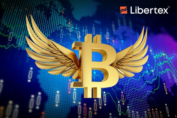 btc-recovery